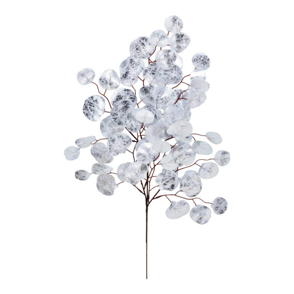 Rama de plástico plata (An/Al) 38x72cm