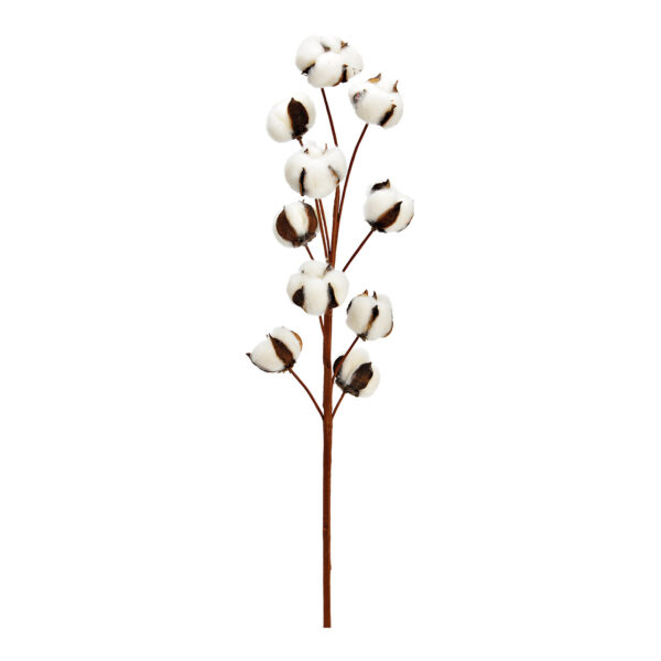 Rama de algodón 10 cabezas material natural naturaleza (H) 65cm