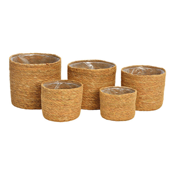 Juego de maceteros de algas marinas forrados con papel de aluminio de material natural, 5 unidades, (ancho/alto/fondo) 20 x 18 x 20 cm 18 x 16 x 18 cm 16 x 14 x 16 cm 14 x 12 x 14 cm 12 x 10 x 12 cm 20 x 18 x 20 cm 4007698398170 18 x 16 x 18 cm 4007698398132 16 x 14 x 16 cm 4007698398149 14 x 12 x 14 cm 4007698398156 12 x 10 x 12 cm 4007